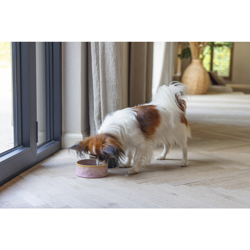 Beeztees Dbl Jace Seramik Köpek Mama ve Su Kabı 500ml (Pembe)