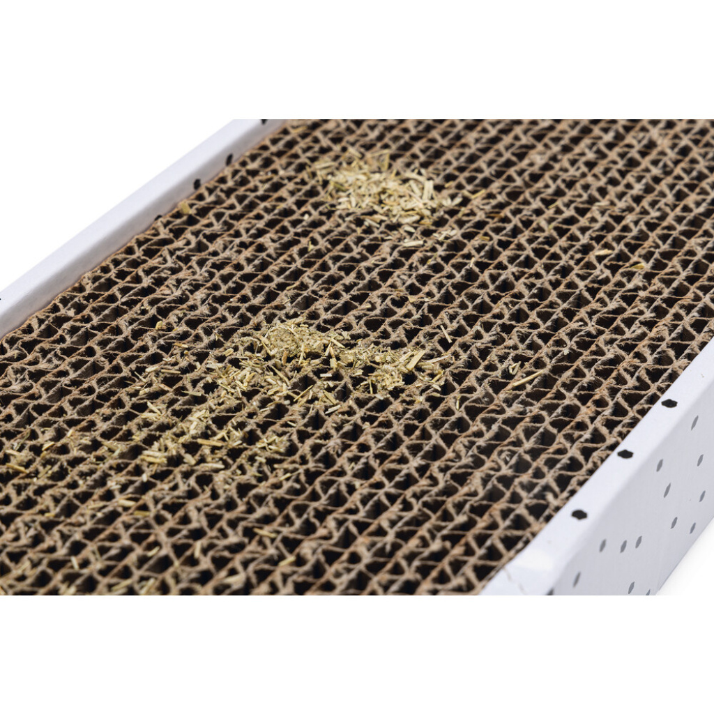 Beeztees Pula Kedi Karton Tırmalama Kutusu ve Kedi Otu 47x12,5x4,5cm