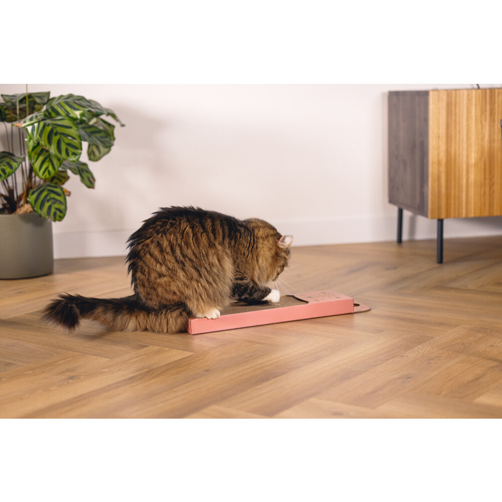 Beeztees Leopard Kedi Tırmalama Kartonu 45x13x2cm (Pembe)