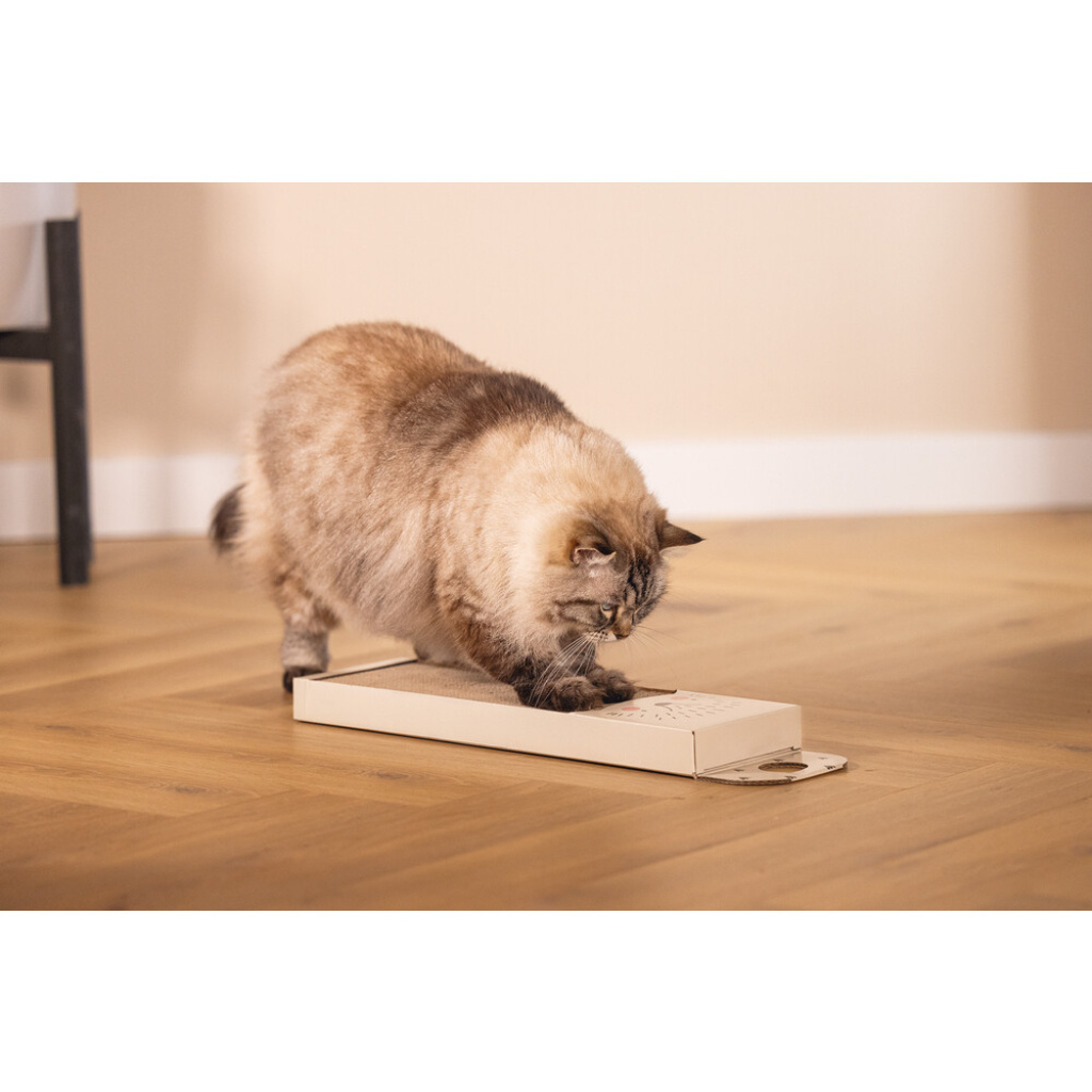 Beeztees Hedgehog Kedi Tırmalama Kartonu 45x13x2cm (Bej)