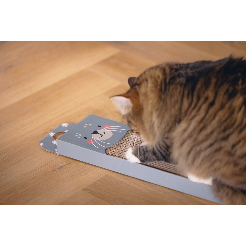 Beeztees Seal Kedi Tırmalama Kartonu 45x13x2cm (Mavi)