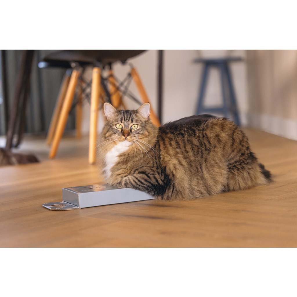 Beeztees Seal Kedi Tırmalama Kartonu 45x13x2cm (Mavi)