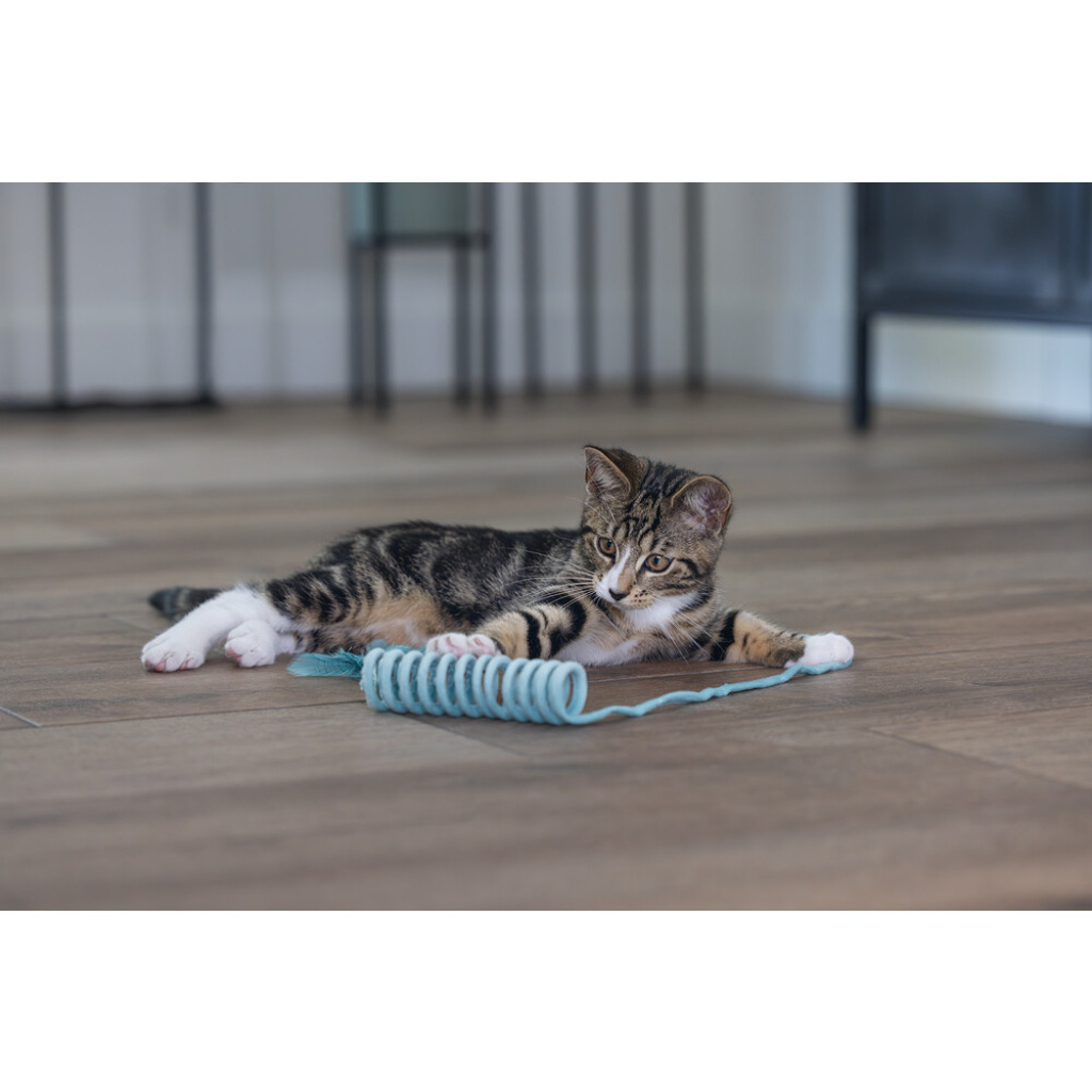 Beeztees Lola Peluş Yaylı Yavru Kedi Oyuncağı 60x4x4cm