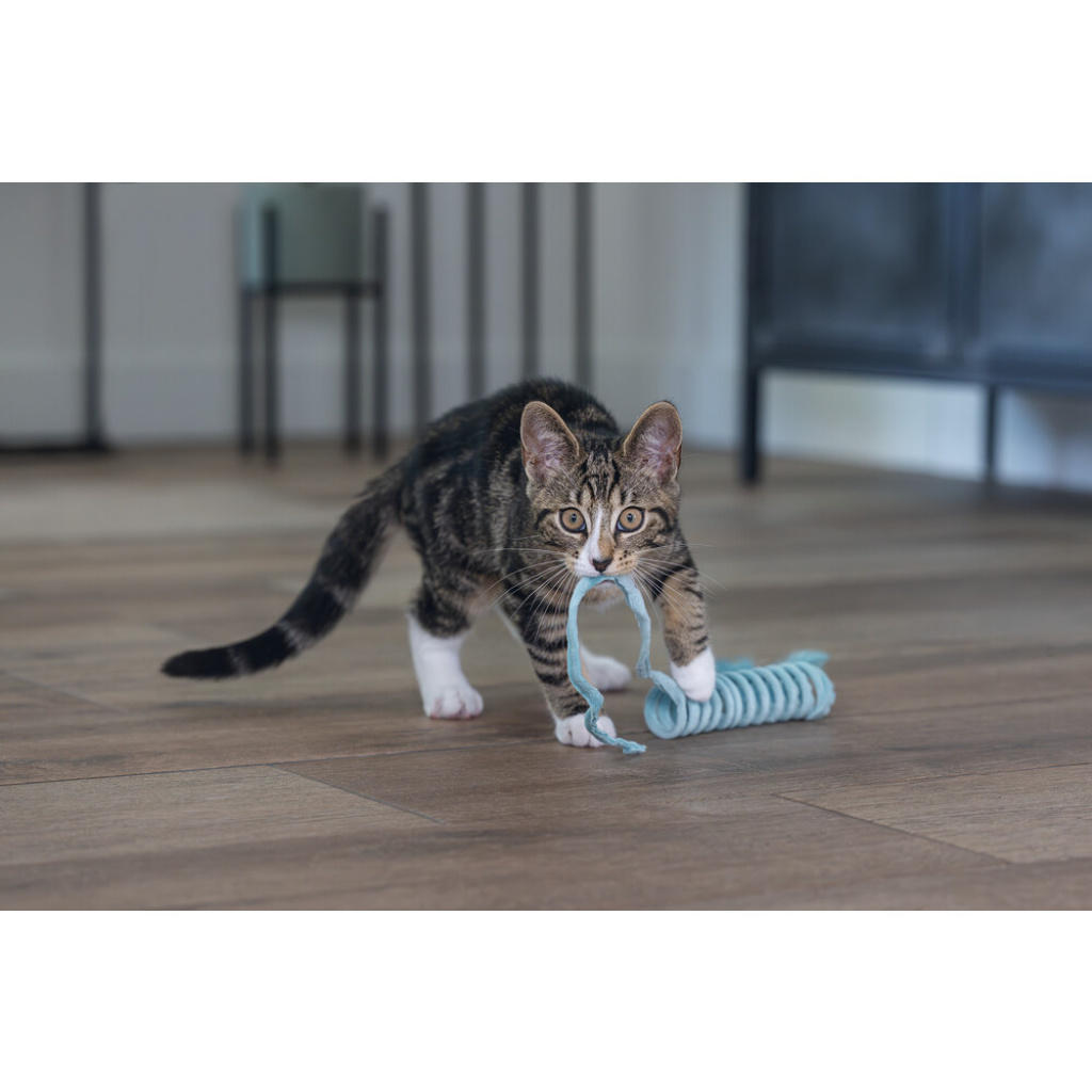 Beeztees Lola Peluş Yaylı Yavru Kedi Oyuncağı 60x4x4cm