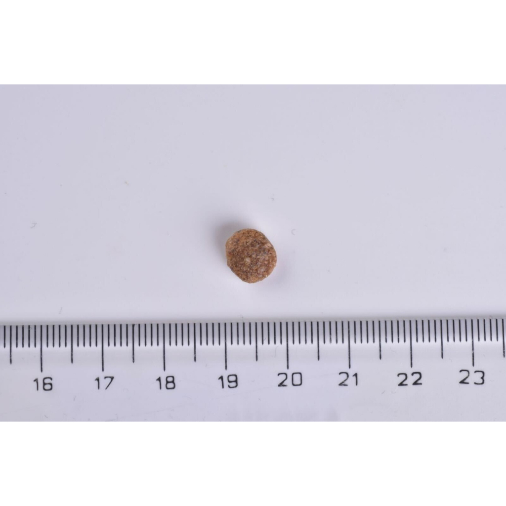 Brit Care Hipoalerjenik Raw Delights Hindili ve Karidesli Mini Irk Yetişkin Köpek Maması 2kg