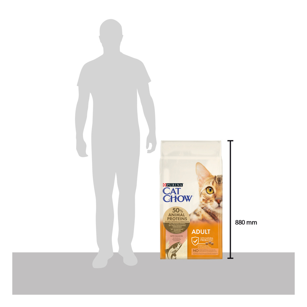 Cat Chow Somonlu ve Ton Balıklı Yetişkin Kedi Maması 15kg