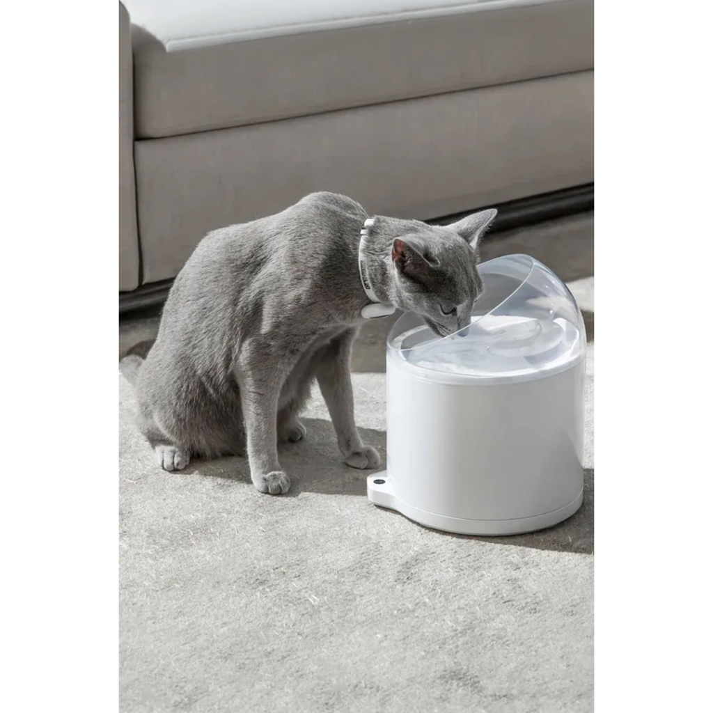 CATLINK Pure 2 UV Otomatik Kedi Su Kabı 2,6lt