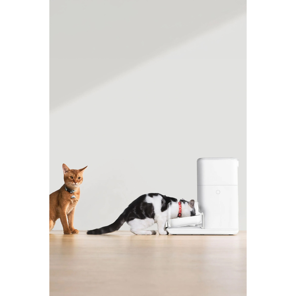 CATLINK Fresh 2 FO4 PRO Otomatik Kedi Mama Kabı 2,4lt
