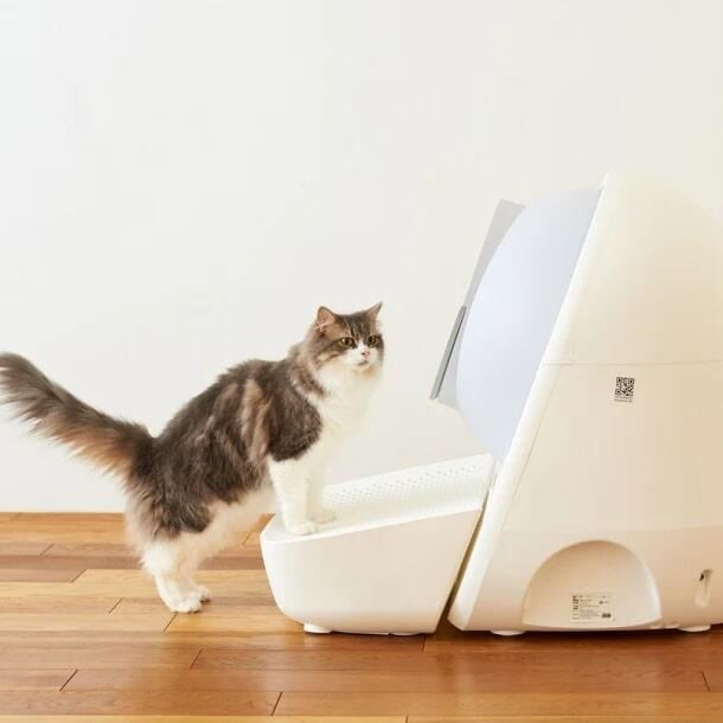 CATLINK Stairway Scooper Otomatik Kedi Tuvaleti Basamağı (Beyaz)