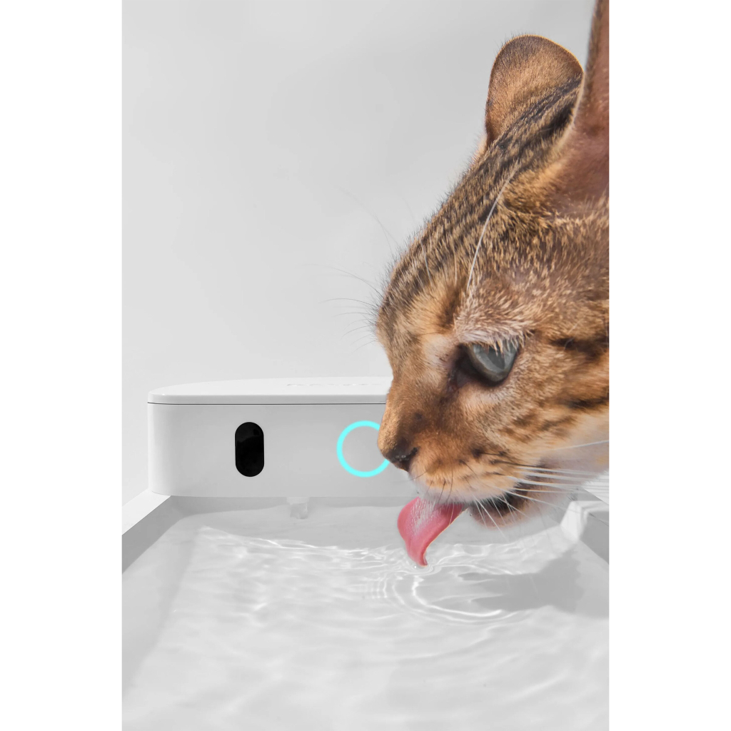 CATLINK Pure 3 Yapay Zeka Destekli Kedi ve Küçük Irk Köpekler için Kablosuz Otomatik Su Kabı 2,3lt