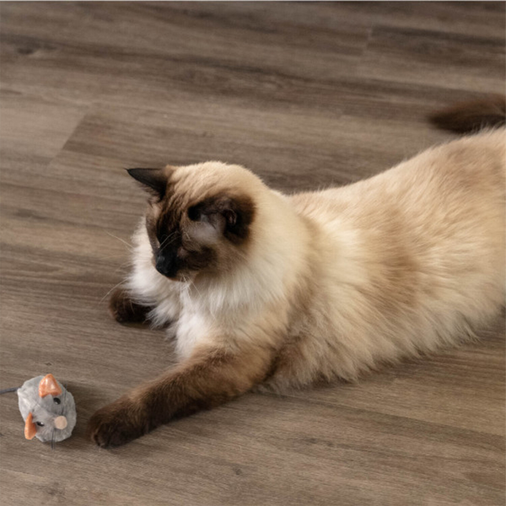 CATSGATES Squeak Squeak Catnipli Sesli Fare Kedi Oyuncağı 3,8x3,8cm (Gri)