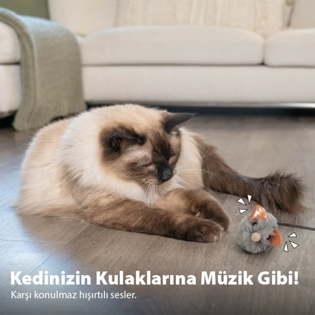 CATSGATES Squeak Squeak Catnipli Sesli Fare Kedi Oyuncağı 3,8x3,8cm (Gri)