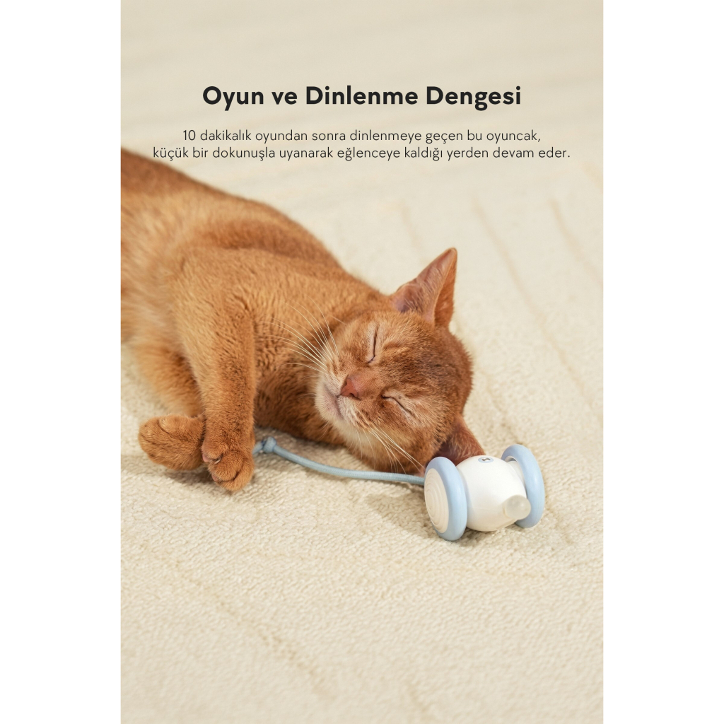 Cheerble İnteraktif Kuyruklu Fare Kedi Oyuncağı 7x5x5,8cm