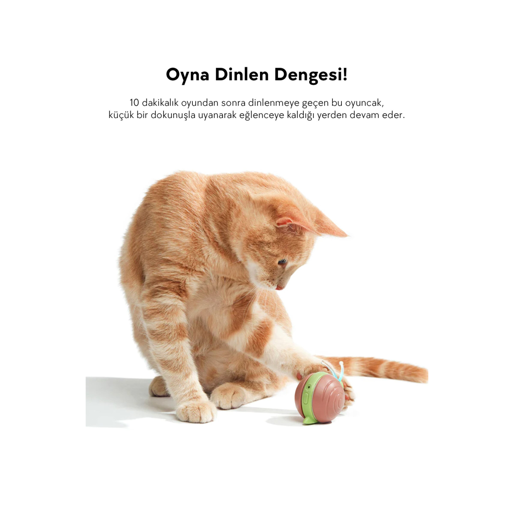 Cheerble Şarjlı Akıllı İnteraktif Salyangoz Şeklinde Kedi Oyuncağı 7x5x5,8cm