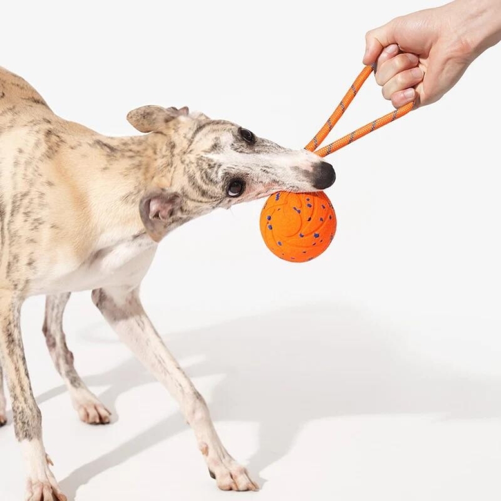 Cheerble İnteraktif İpli Top Köpek Oyuncağı 7cm (Turuncu)