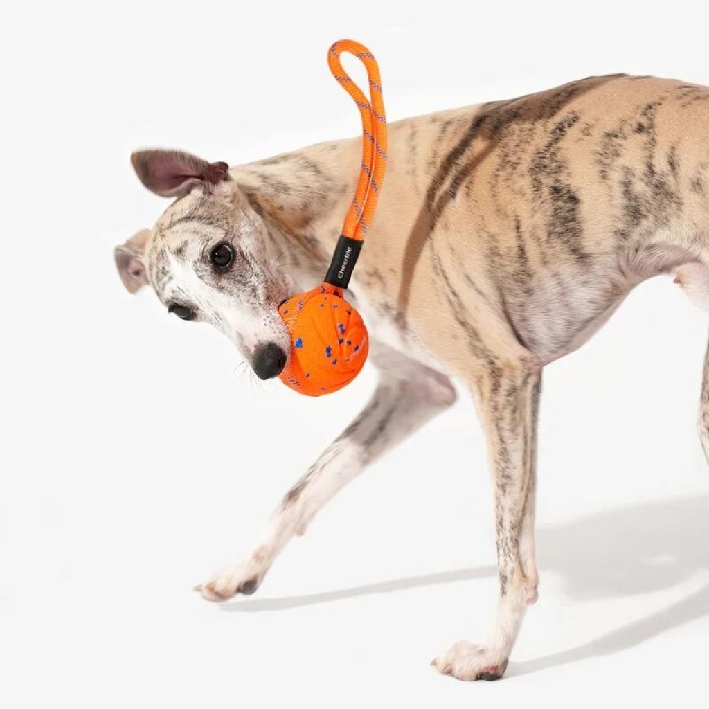 Cheerble İnteraktif İpli Top Köpek Oyuncağı 7cm (Turuncu)