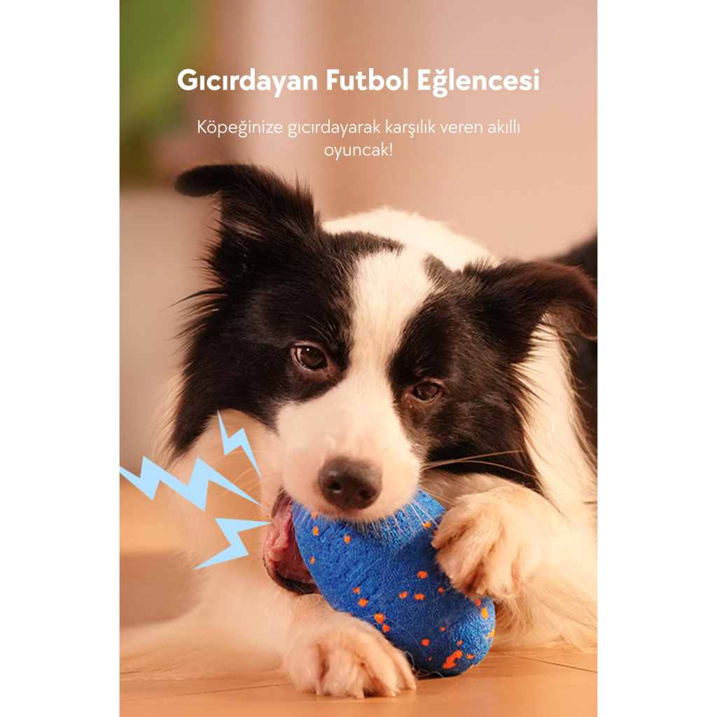 Cheerble Wicked Rugby Şarjlı Hareketli Top Köpek Oyuncağı (Mavi)