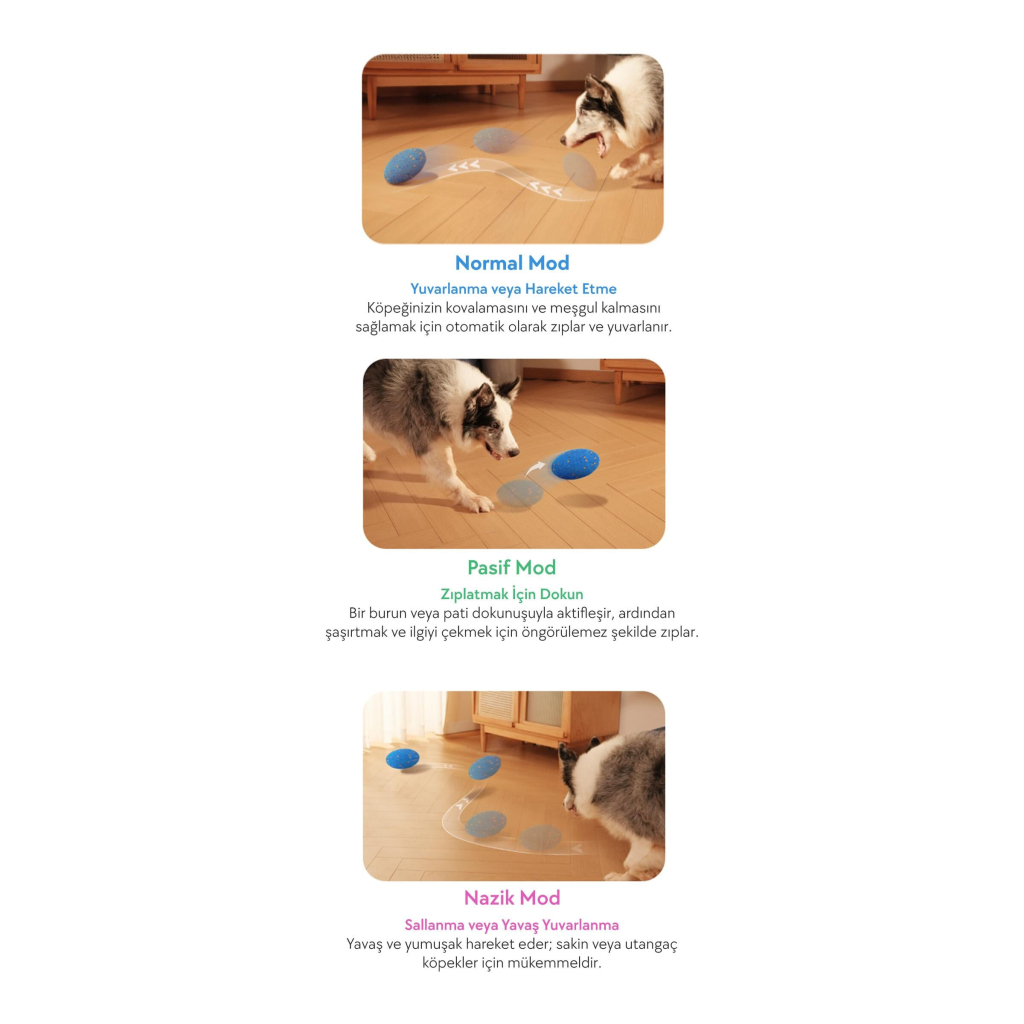 Cheerble Wicked Rugby Şarjlı Hareketli Top Köpek Oyuncağı (Mavi)