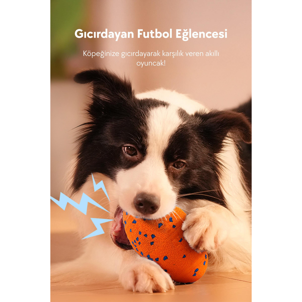 Cheerble Wicked Rugby Şarjlı Hareketli Top Köpek Oyuncağı (Turuncu)