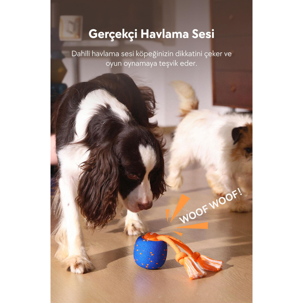 Cheerble Wicked Ball Rolly Şarjlı İnteraktif Top Köpek Oyuncağı (Mavi)
