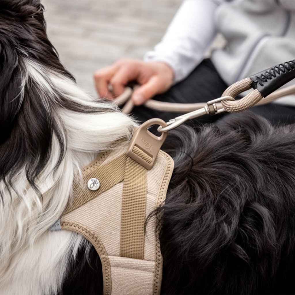 Curli Vest Harness Köpek Göğüs Tasması 49,1x55,4cm (Bej) [L]