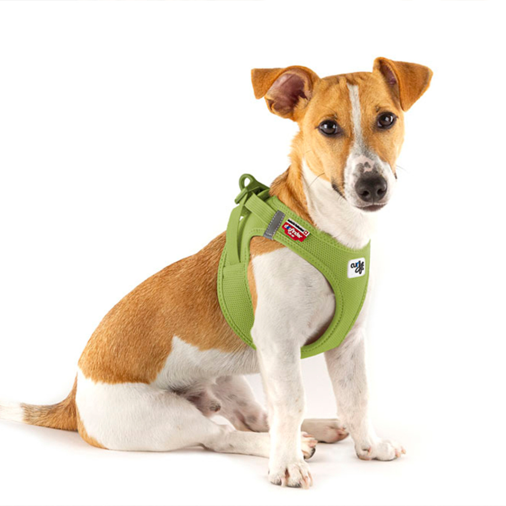 Curli Vest Harness Köpek Göğüs Tasması 49,1x55,4cm (Yeşil) [L]