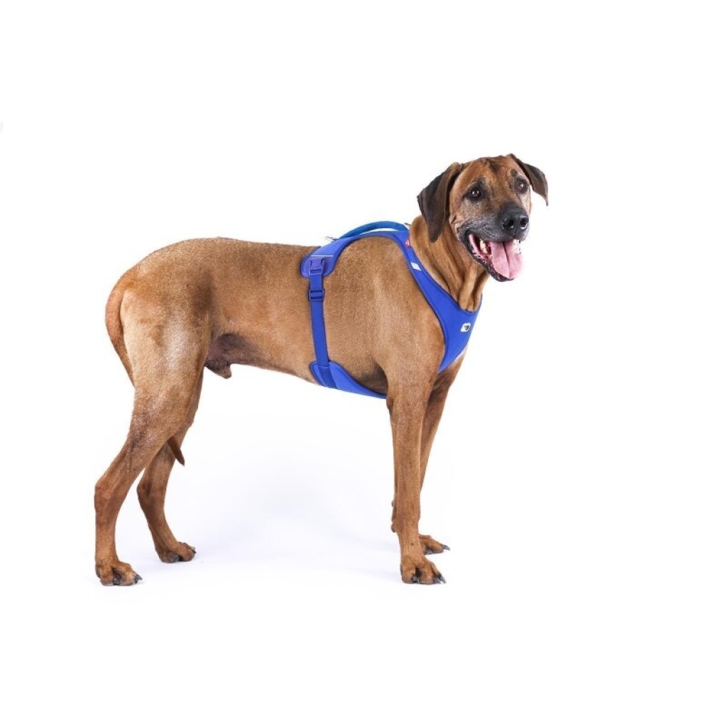 Curli Belka Harness Air-Mesh Köpek Göğüs Tasması 79x92cm (Siyah) [4XL]