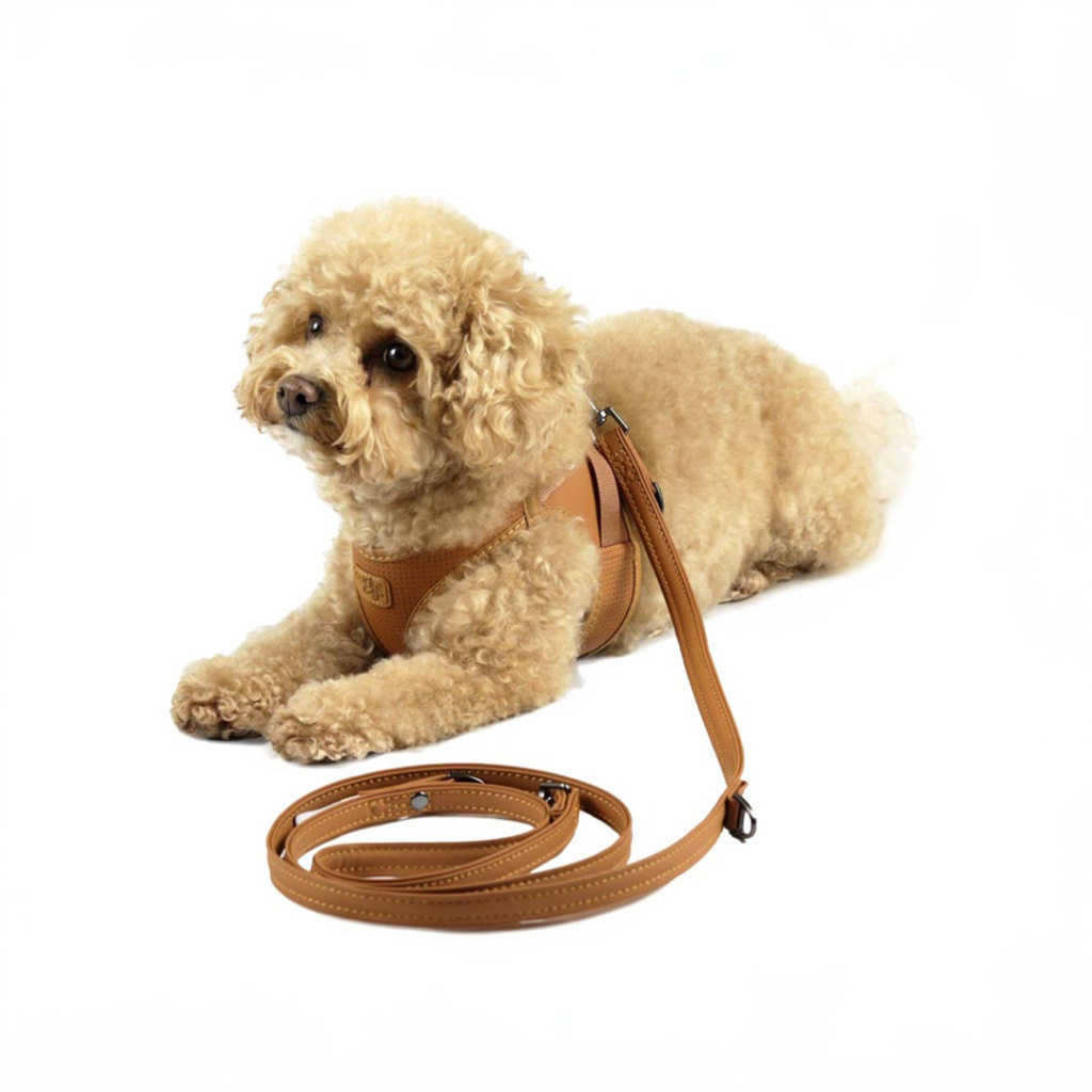 Curli Apple Leather Köpek Gezdirme Kayışı 160cm (Kahverengi) [L]