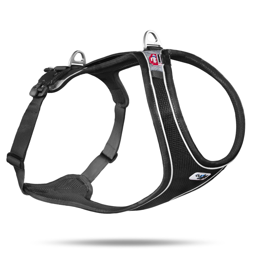 Curli Magnetic Belka Comfort Harness Köpek Göğüs Tasması 58-62cm (Siyah) [XS]