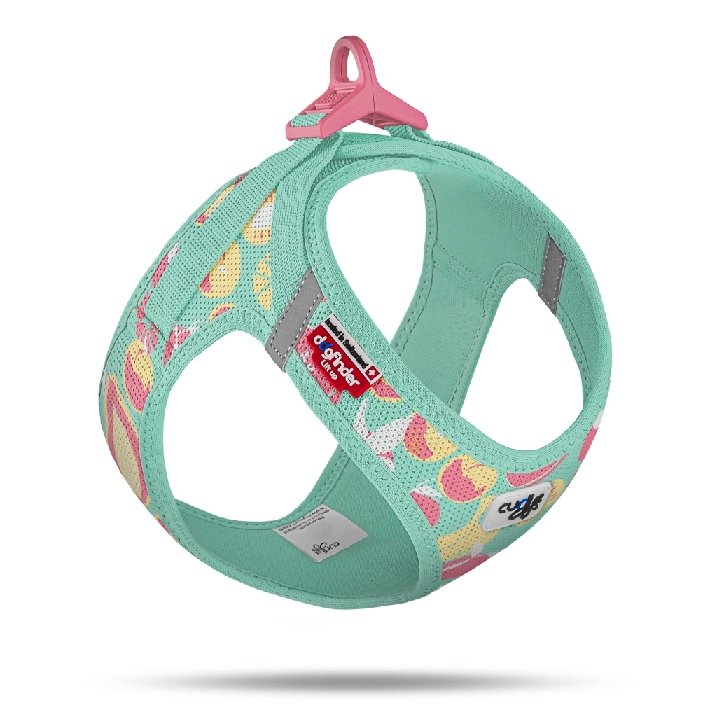 Curli Vest Harness Köpek Göğüs Tasması 55,5–62,7cm (Turkuaz) (XL)