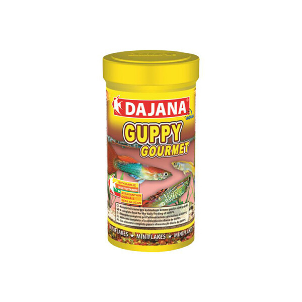 DAJANA Aqua Guppy Gourmet Pul Akvaryum Balık Yemi 100ml 20gr