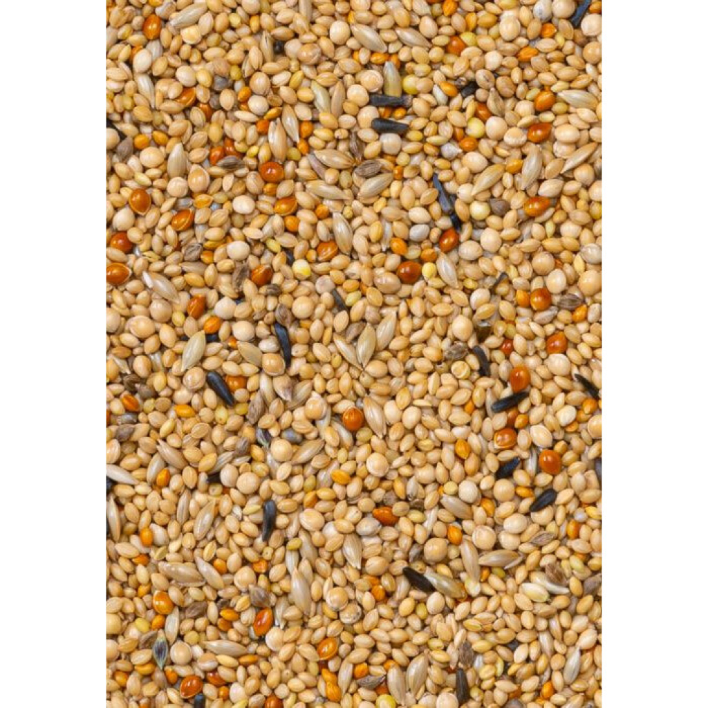 Deli Nature Premium Foreign Finches İspinoz Kuşu Yemi 1100gr