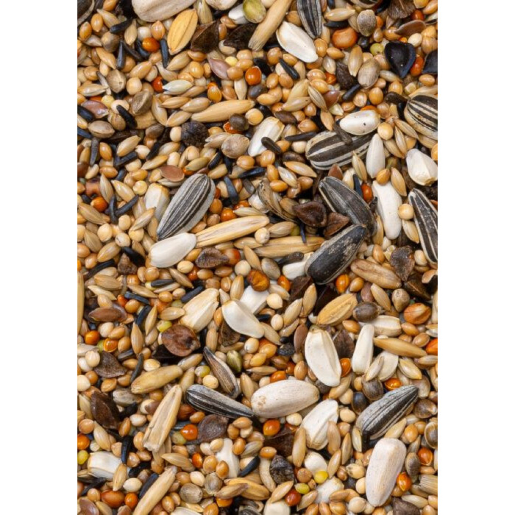 Deli Nature Premium Large Parekeets Pareket Kuşu Yemi 1000gr