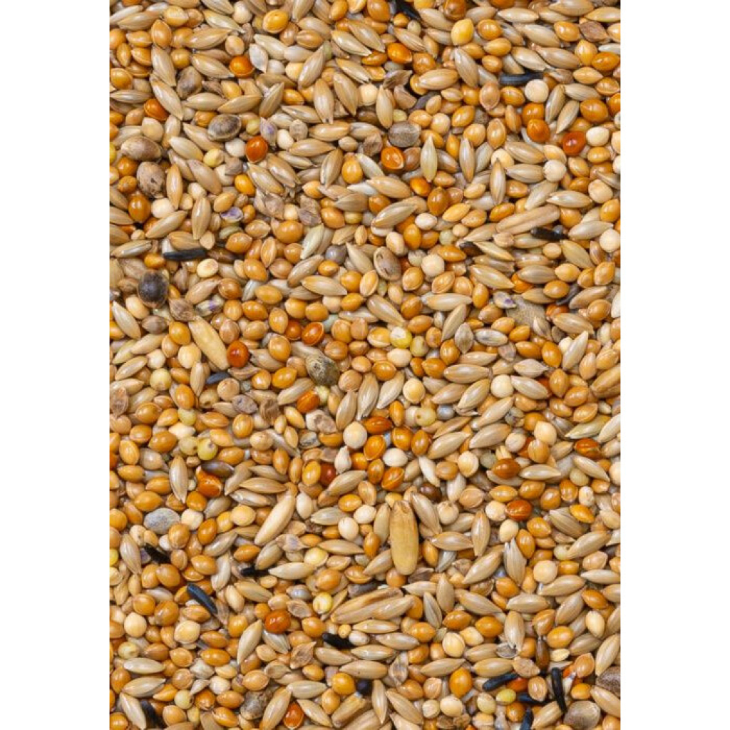 Deli Nature Premium Budgies Muhabbet Kuşu Yemi 1100gr