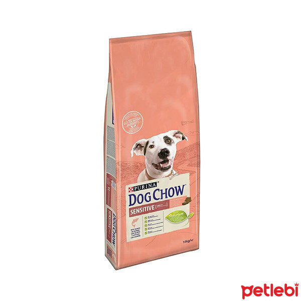 Dog Chow Hassas Köpekler için Somon Etli Yetişkin Köpek Maması 14kg