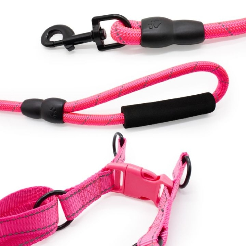 Doglife Göğüs Ve Fitil Köpek Gezdirme Tasması 12mm