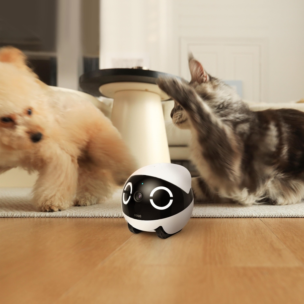 Enabot Rola Mini 2K Kameralı Evcil Hayvan Robotu