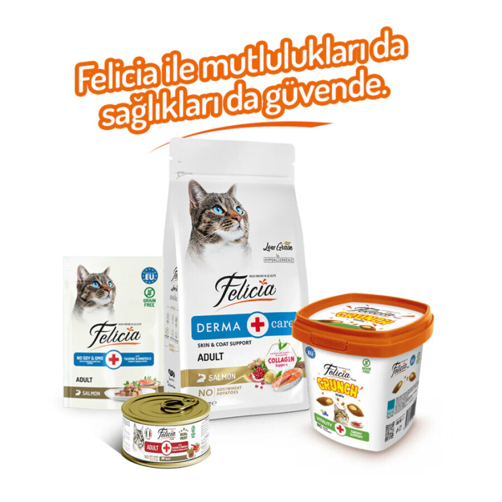 Felicia Vitality Crunch Sığır Etli Yaban Mersinli ve Sütlü Kedi Ödül Maması 100gr