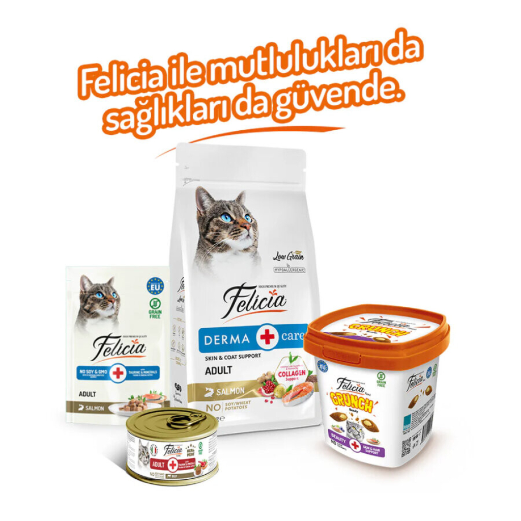 Felicia Beauty Crunch Tavuklu ve Somonlu Kedi Ödül Maması 100gr