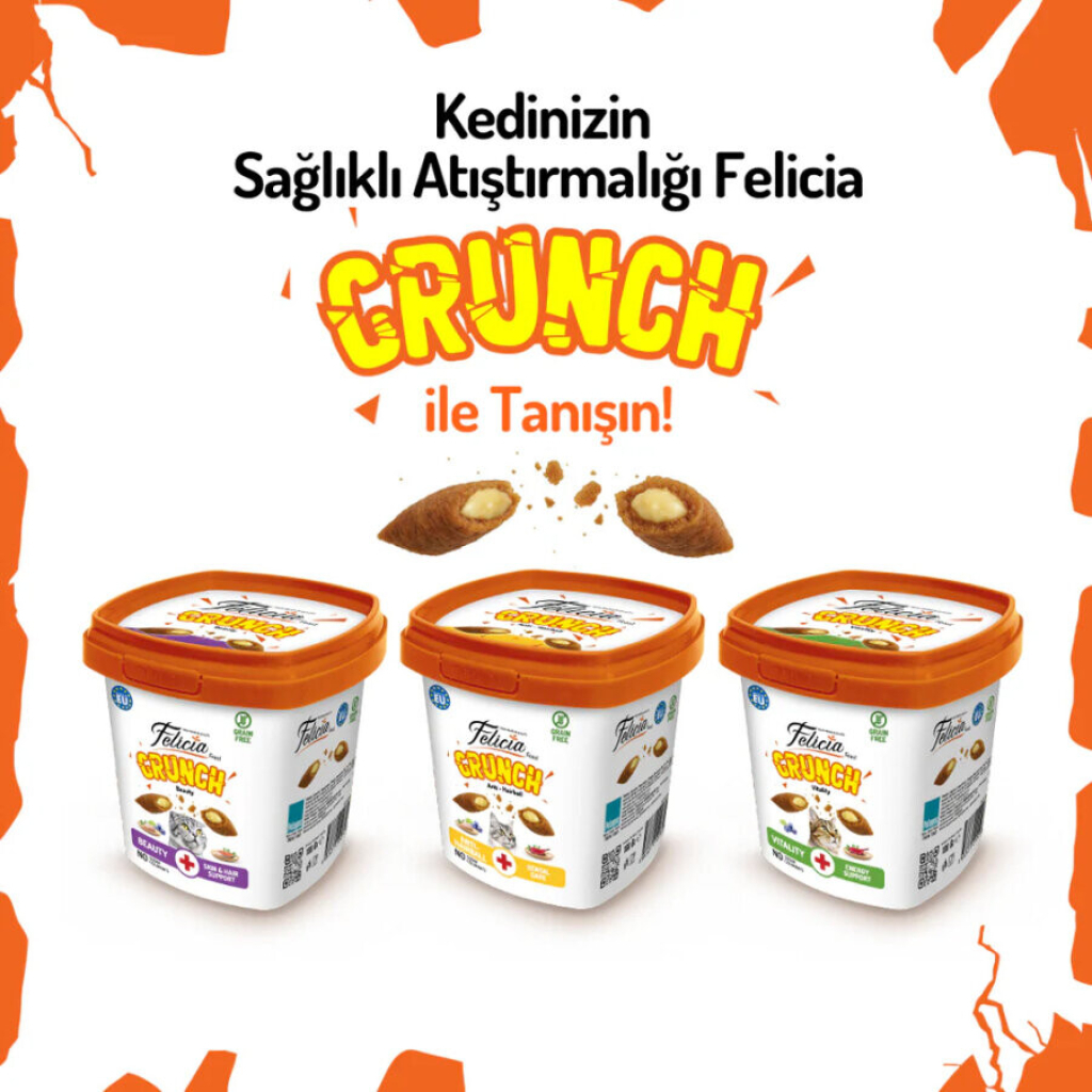 Felicia Crunch Hairball Tavuklu Yaban Mersinli ve Sütlü Kedi Ödül Maması 100gr