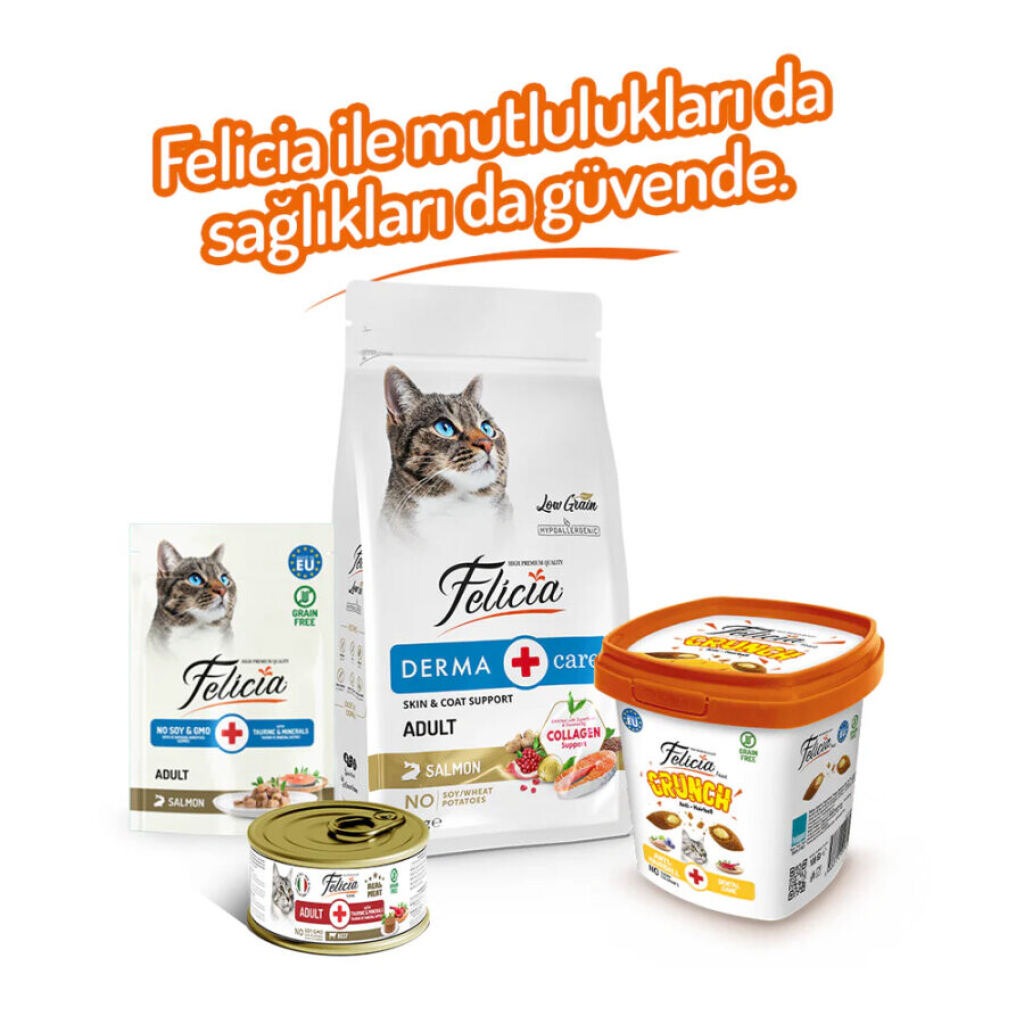 Felicia Crunch Hairball Tavuklu Yaban Mersinli ve Sütlü Kedi Ödül Maması 100gr
