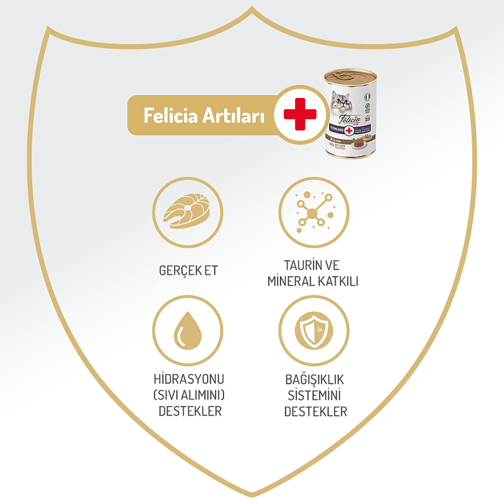 Felicia Pate Somonlu Tahılsız Kısırlaştırılmış Kedi Konservesi 400gr