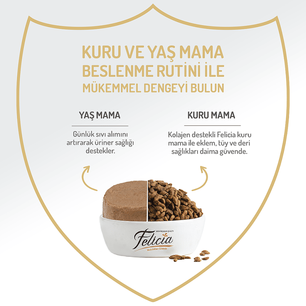 Felicia Pate Somonlu Tahılsız Kısırlaştırılmış Kedi Konservesi 400gr