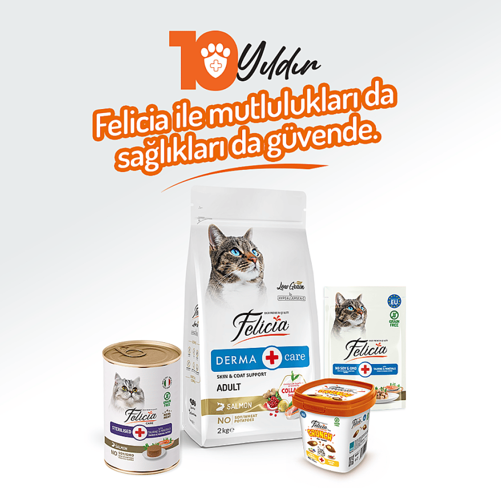 Felicia Pate Somonlu Tahılsız Kısırlaştırılmış Kedi Konservesi 400gr