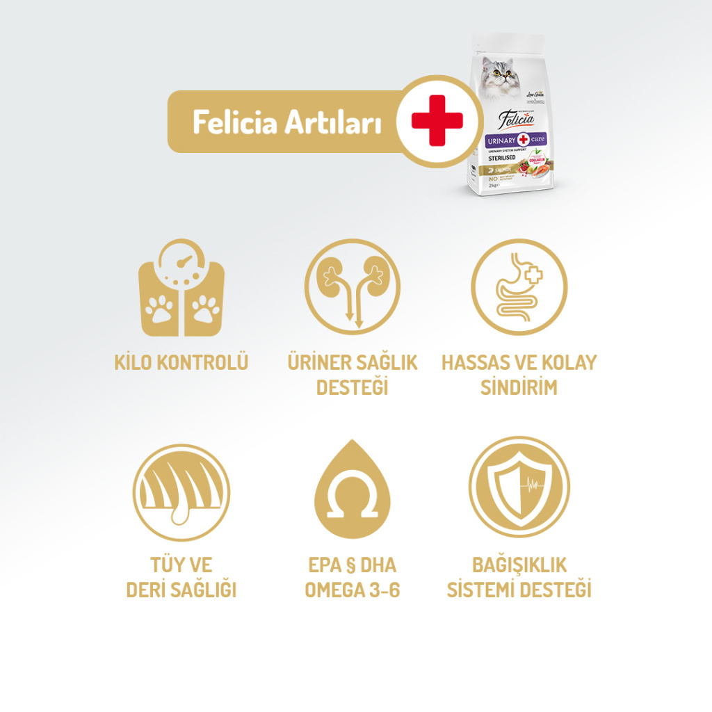 Felicia Hipoalerjenik Üriner Sağlığı için Somonlu Düşük Tahıllı Kısırlaştırılmış Kedi Maması 12kg