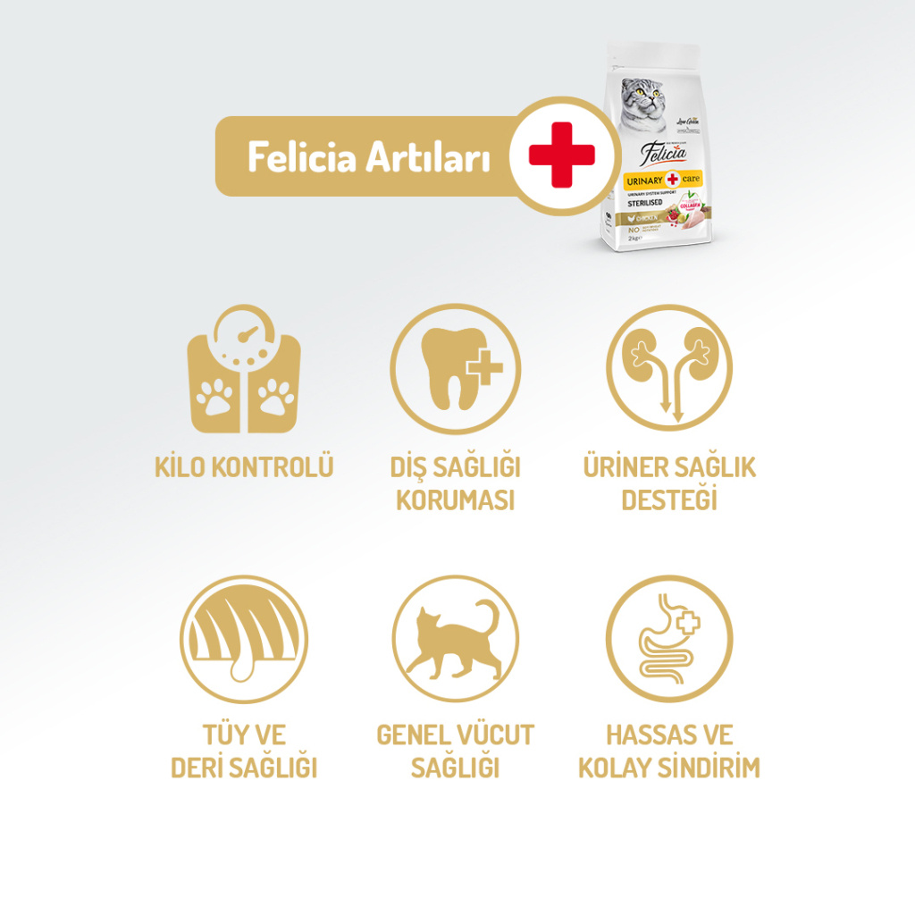 Felicia Hipoalerjenik Üriner Sağlığı İçin Düşük Tahıllı Tavuklu Kısırlaştırılmış Kedi Maması 12kg