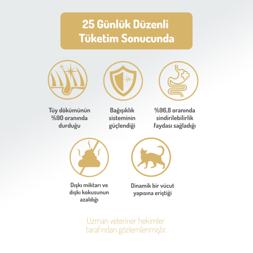 Felicia Hipoalerjenik Üriner Sağlığı İçin Düşük Tahıllı Tavuklu Kısırlaştırılmış Kedi Maması 12kg