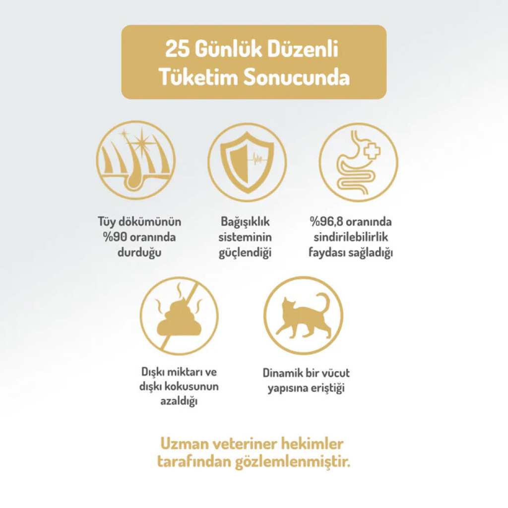 Felicia Hipoalerjenik Kolejen Destekli Somonlu Kısırlaştırılmış Kedi Maması 5kg