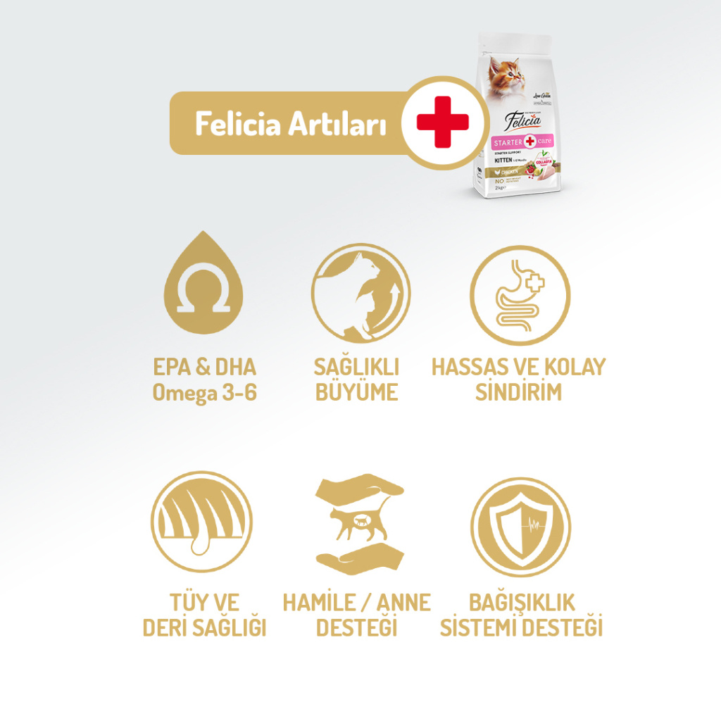Felicia Hipoalerjenik Tavuklu ve Hamsili Düşük Tahıllı Yavru Kedi Maması 12kg