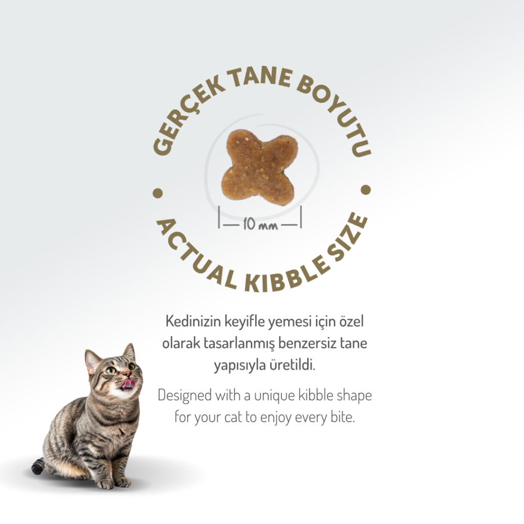 Felicia Hipoalerjenik Tavuklu ve Hamsili Düşük Tahıllı Yavru Kedi Maması 2kg